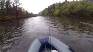 Насадка Карась на Ямахе15+Флагман 420 игла