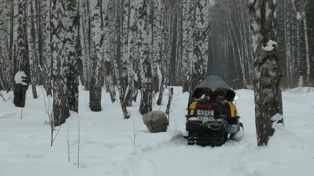 Выезд на шашлыки