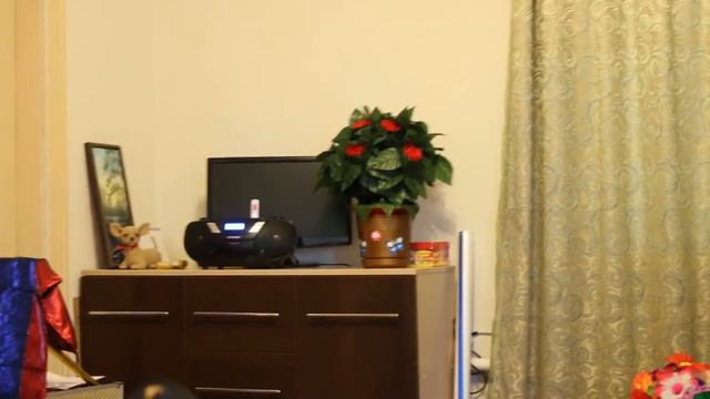 День рождения Миланы - 7 лет смотреть онлайн