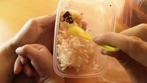 Личинки майского жука. И как поживает загадочная куколка?