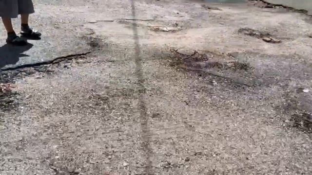 Проверяем машинка на управлении в сша. Форд. смотреть онлайн