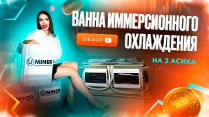 Иммерсионная ванна на 3 асика. Иммерсионное охлаждение. Майнинг ферма. Охлаждение для асика