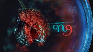 Перец 9 (П9)_Фото абстракция