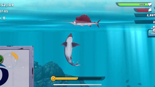 How to get high scores in hungry shark || hungry shark evolution смотреть онлайн