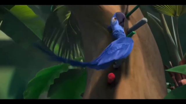 Первая встреча Голубчика и Жемчужинки | Рио (2011) смотреть онлайн