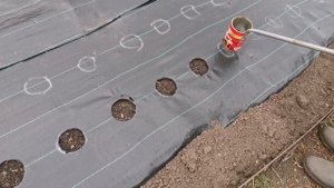 Как сделать отверстия на агроткани.