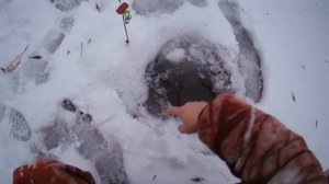 Рыбалка на жерлицы и рыболовный вертолёт  декабрь 2022