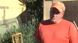 Кража голубей в Чебаркуле