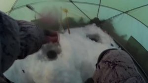 За язём. Часть 1-2 / Зимняя рыбалка на язя / Язь / Обь