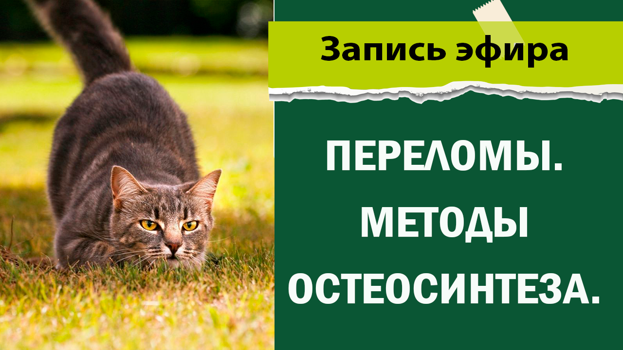 Переломы. Методы остеосинтеза.