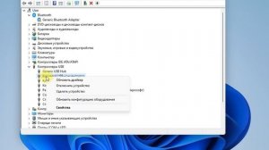 Настройка отключения питания USB-устройства (Windows 11)