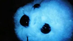 Мягкая игрушка "Тюлень" / Распаковка и обзор