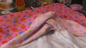 DIY  Пошив лежанки для собак  Шпицы довольны