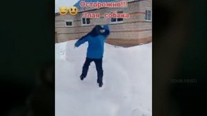 Социальная шизофрения 2.0 часть шестая, комедия/приколы/смех