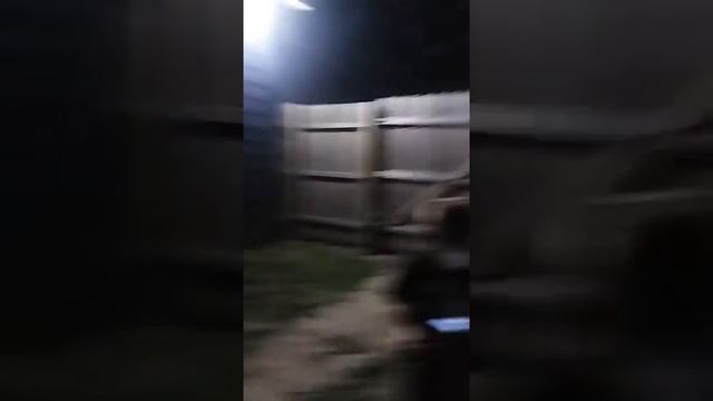 Find the lightbug смотреть онлайн