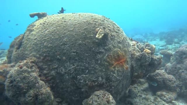 Day 52 At Sea: GIANT LOBSTER On Remote Tropical Island смотреть онлайн