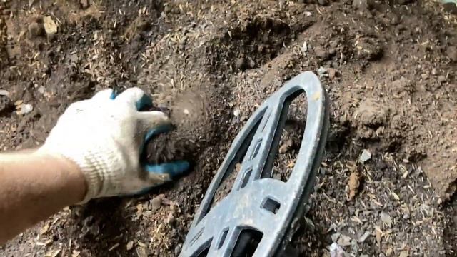 Поиск монет в старом доме