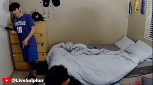 irl sleep stream