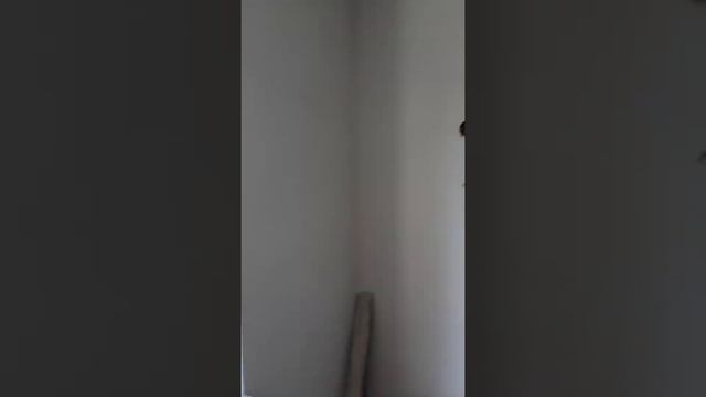 Ремонт в трехкомнатной ХРУЩЕВКЕ (2 августа 2020 г.) смотреть онлайн