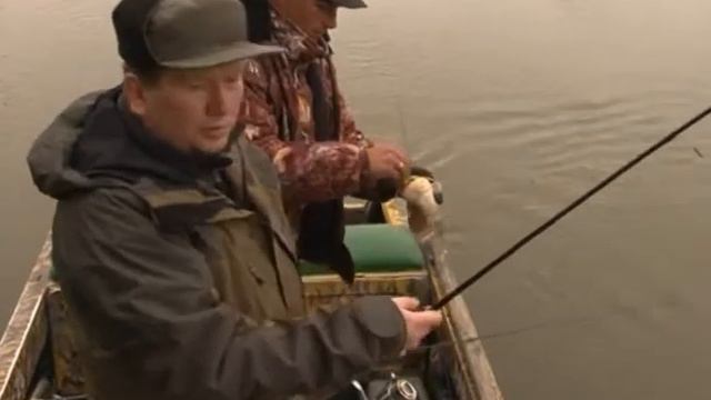 Ловля сома смотреть онлайн