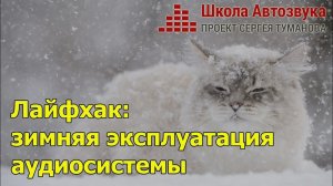 Лайфхаки от Школы Автозвука: как эксплуатировать аудиосистему зимой