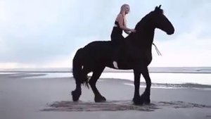 Красивая музыка красивые лошади