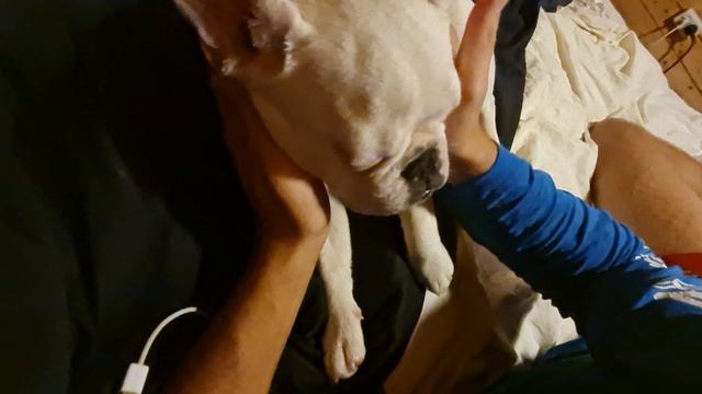 видео на рутуб