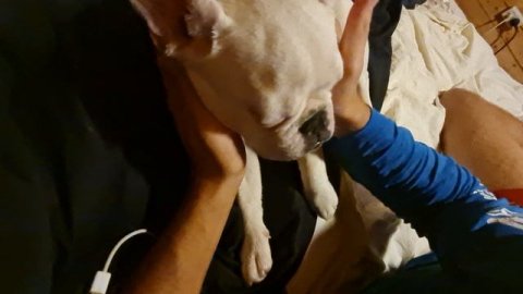 видео на рутуб