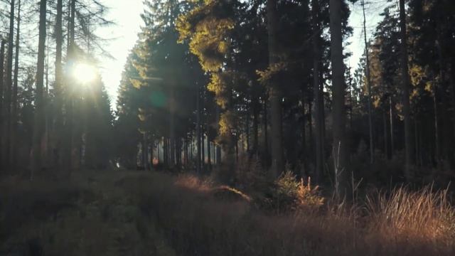 Медитация. Открытие Канала Любви. Привлечение любви, счастья, благополучия