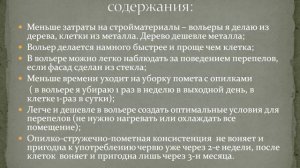 ВАП4_Вольерное содержание перепелов