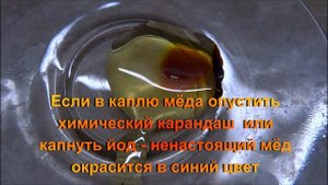 Калина на зиму с мёдом. Какой мёд правильный?