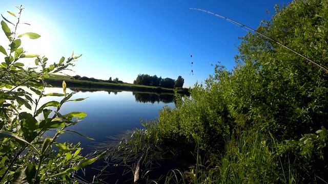 Заброшенный платный пруд в московской области