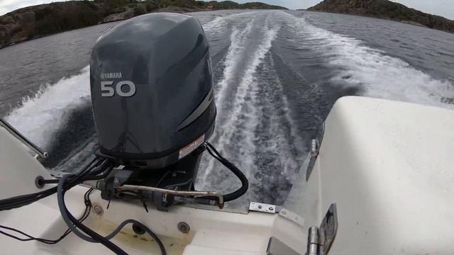 Yamaha F50