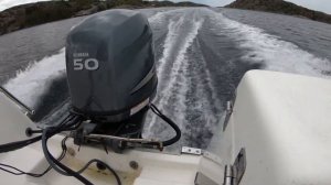 Yamaha F50