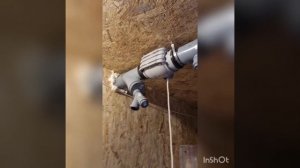 Влажность в курятнике. Как мы избавились от запаха и влажности у перепелов.