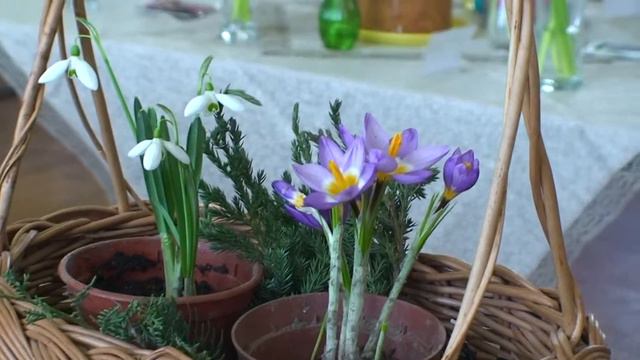 Цветы весны. Клуб Цветоводы Москвы - 2012 №15 смотреть онлайн