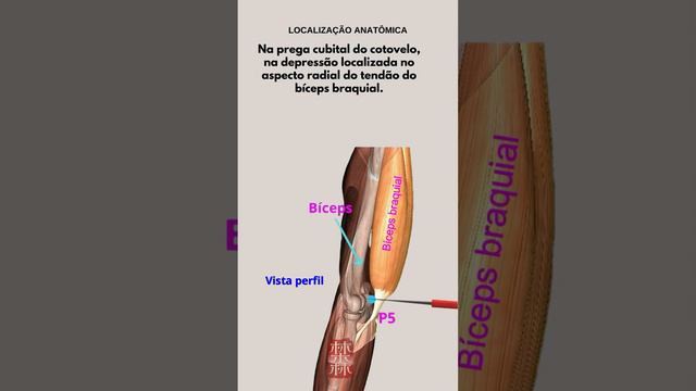 QUAL PONTO É BOM PARA DOR DE GARGANTA?