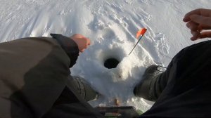 Зимняя рыбалка на Рузском водохранилище в глухозимье 2021.Ловля крупной плотвы в Курово.