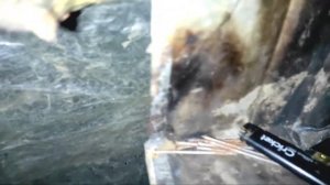 НАШЁЛ ЛЕСНОЙ ЛАГЕРЬ ВИТАЛИКА ИГНАТЮКА!!