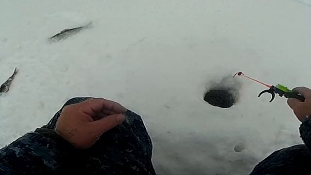 Одиночная рыбалка на таёжной речке Отличный клёв хариуса в непогоду