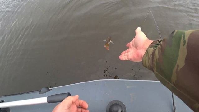 Рыбалка на Иваньковском водохранилище V2.0  Сентябрь 2022