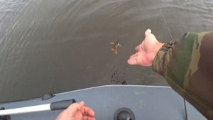 Рыбалка на Иваньковском водохранилище V2.0 Сентябрь 2022