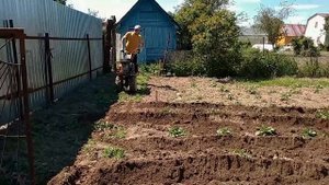 ОКУЧИВАЮ КАРТОШКУ. МОТОБЛОК КАСКАД МБ-1