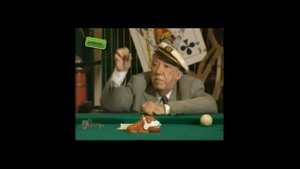 никулин про лягушек анекдот