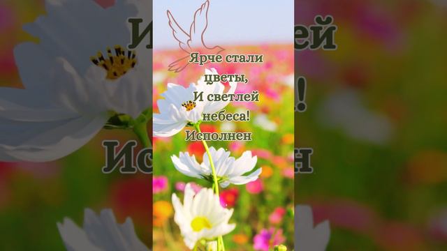 Cо Святой Троицей!🕊🌷🌸