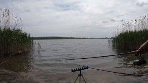 Ловля леща и плотвы на фидер на водохранилище. ФИДЕР 2020.