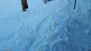 Прямой привод с двигателя на снегоуборочную приставку, на мотоблоки Агат, Салют, Фаворит(Вейма 1050