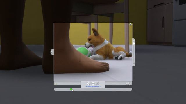 The Sims 4 новый друг #11 смотреть онлайн