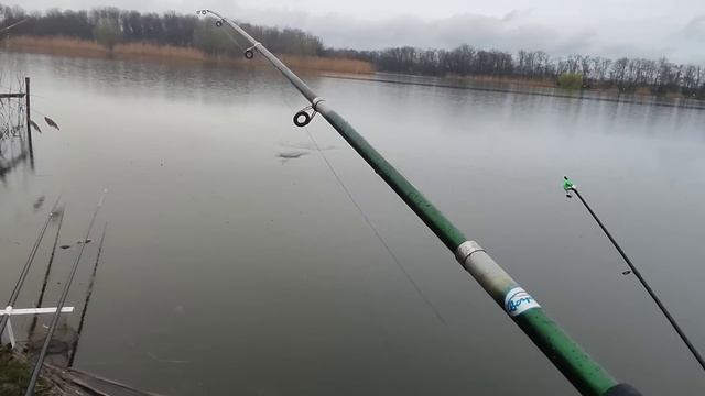 РЫБАЛКА УДАЛАСЬ! Жарим РЫБУ НА КОСТРЕ!2023г смотреть онлайн