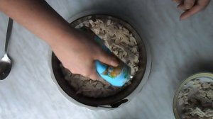 Салат с курицей , грибами и маринованными огурцами .